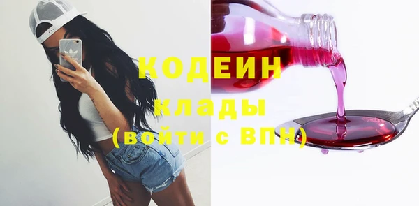 apvp Вяземский