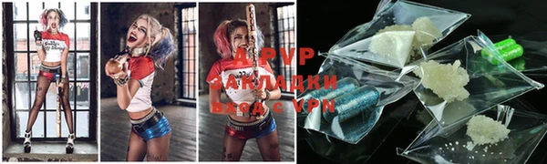 apvp Вяземский
